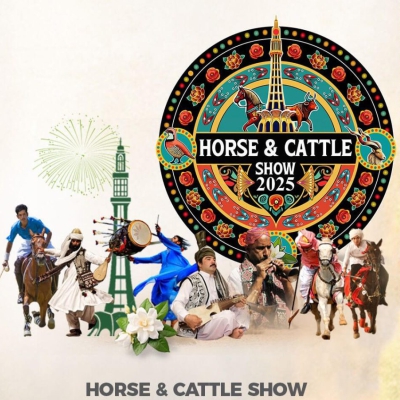 Horse & Cattle Show Pakistan - 160K+ Tyvek wristbands